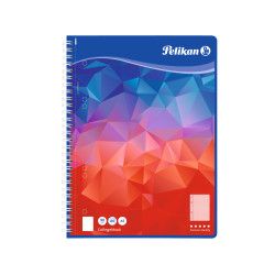 SPR. book A5 c.80